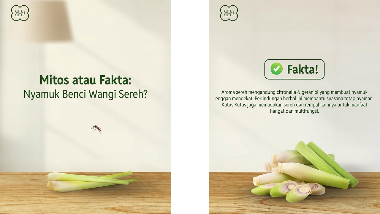 minyak kutus kutus mengandung serai wangi